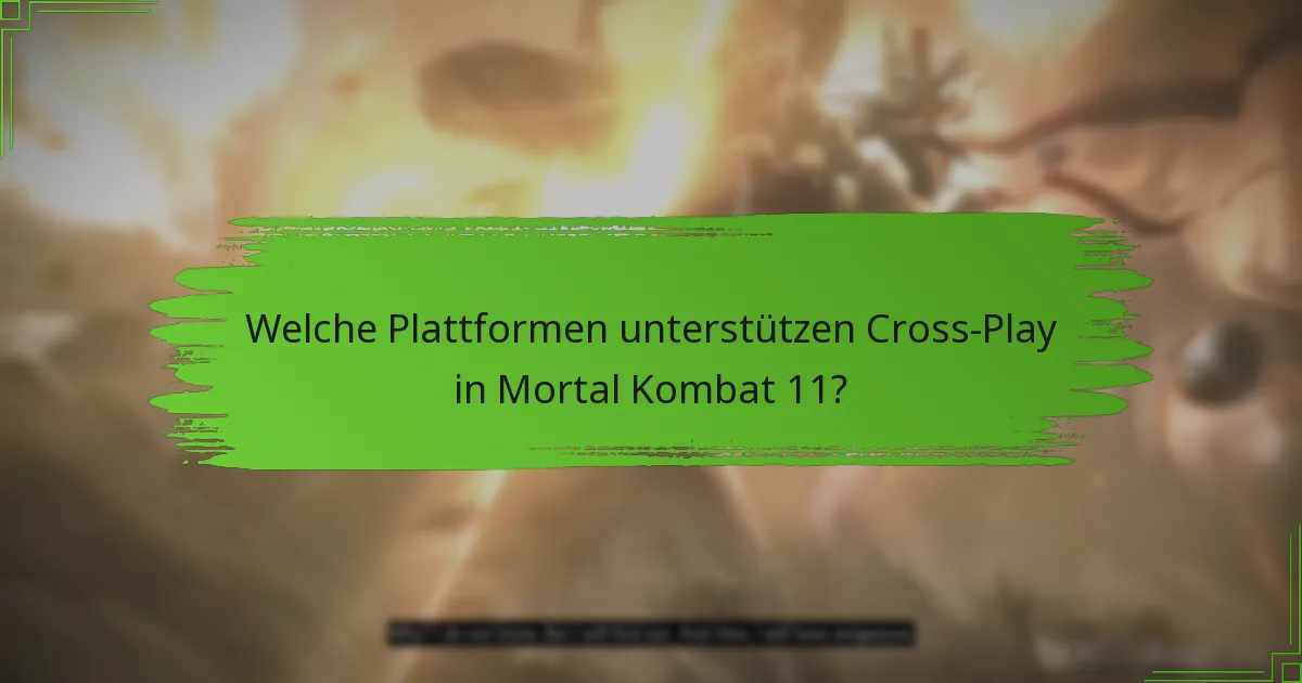 Welche Plattformen unterstützen Cross-Play in Mortal Kombat 11?