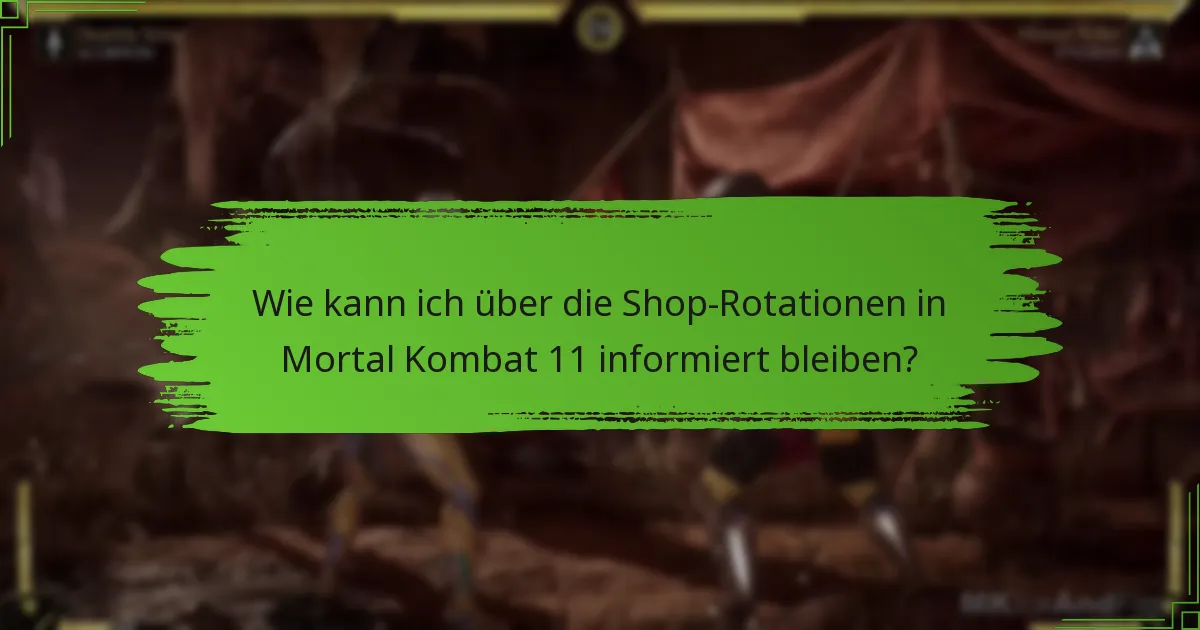 Welche Arten von Artikeln sind im Mortal Kombat 11-Shop erhältlich?